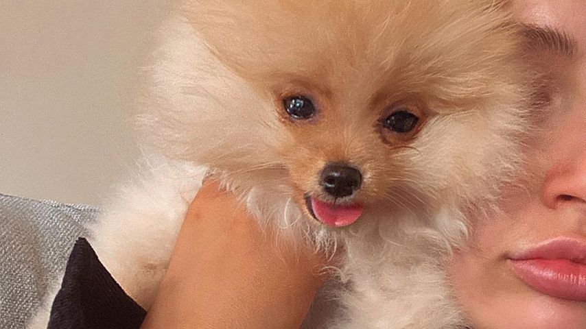 Mr Chai und Molly-Mae Hague