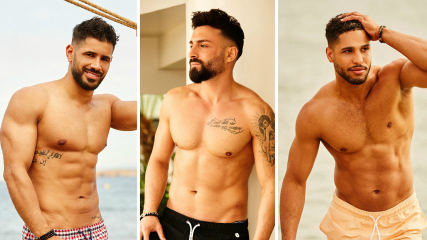 Collage: Mudi Sleiman, Fabiano Carrozzo und David Taylor