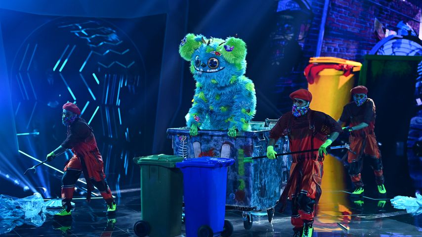 "The Masked Singer"-Finale: Das sind alle Indizien zu Mülli