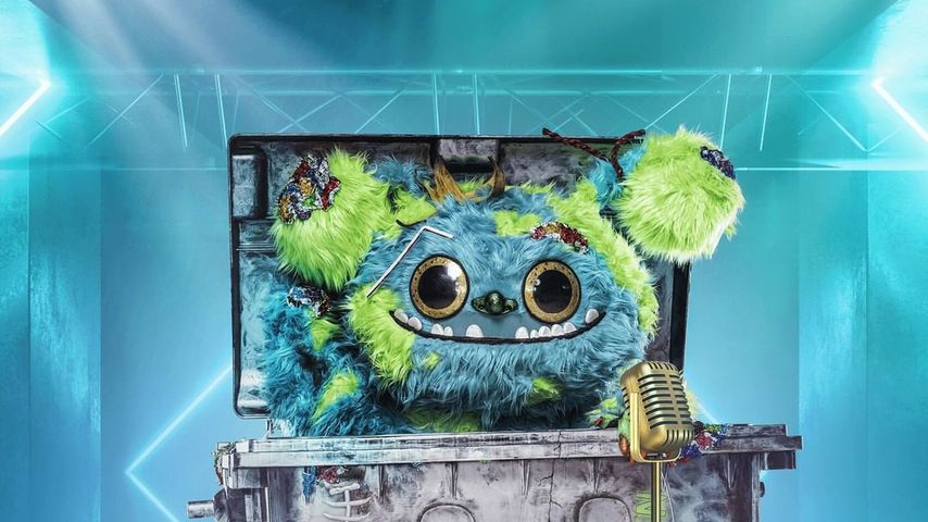 Mülli Müller aus "The Masked Singer"