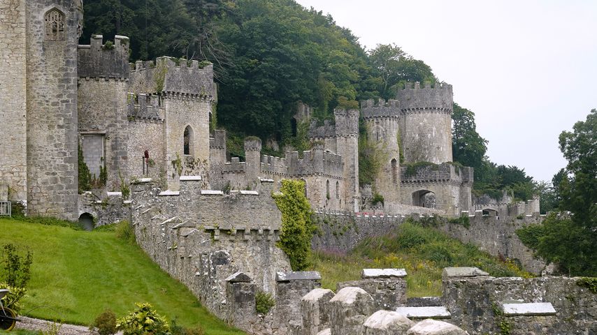 Gwrych Castle, Location des UK-Dschungelcamps
