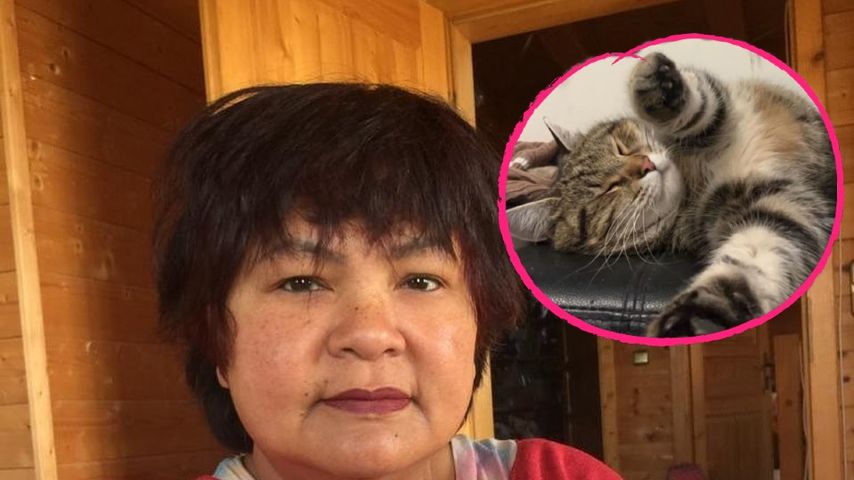 "Bauer sucht Frau"-Star Narumol am Boden: Ihr Kater ist tot