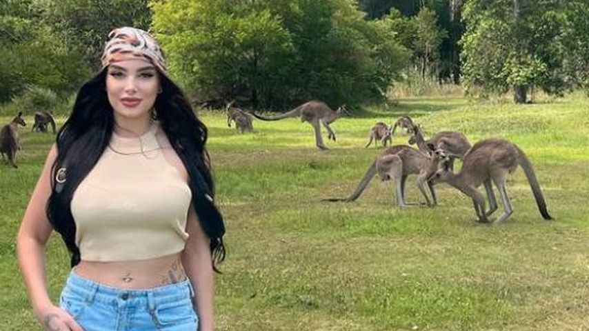 Nathalie Gaus, Realitystar