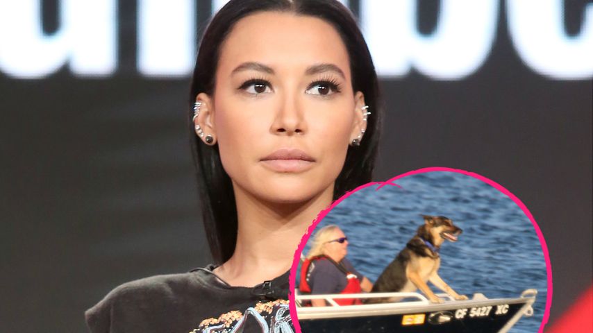 Leichenspürhunde suchen jetzt nach vermisster Naya Rivera