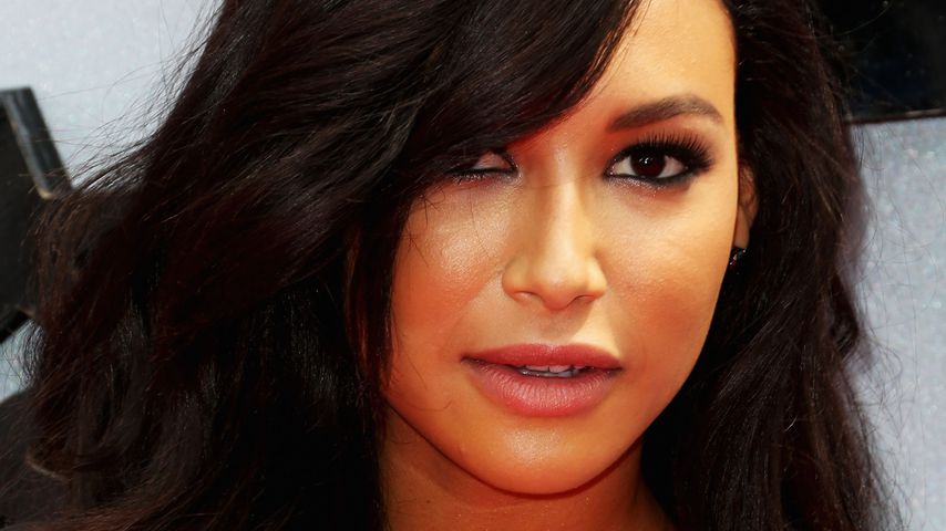 Naya Rivera, TV-Star