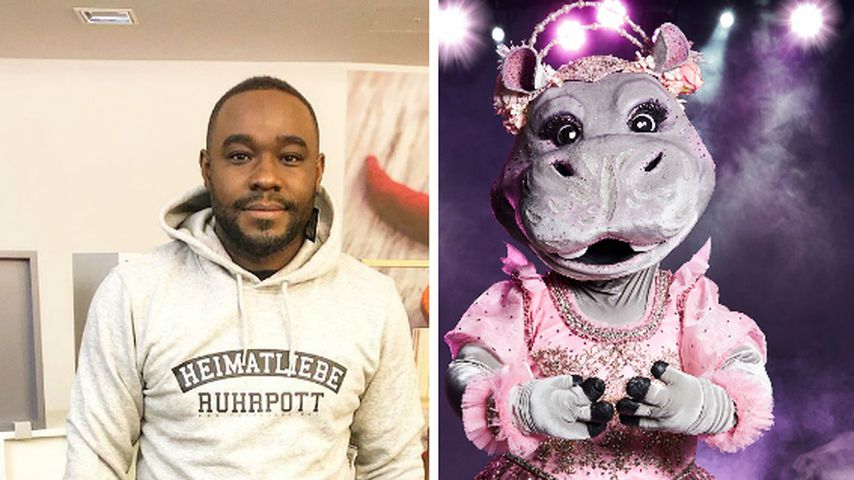 Collage: Nelson Müller und das "The Masked Singer"-Nilpferd