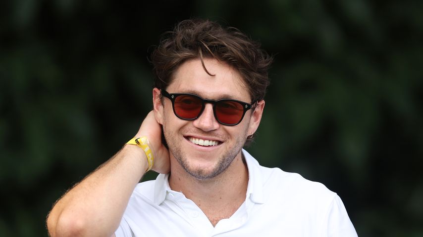 Niall Horan, Sänger