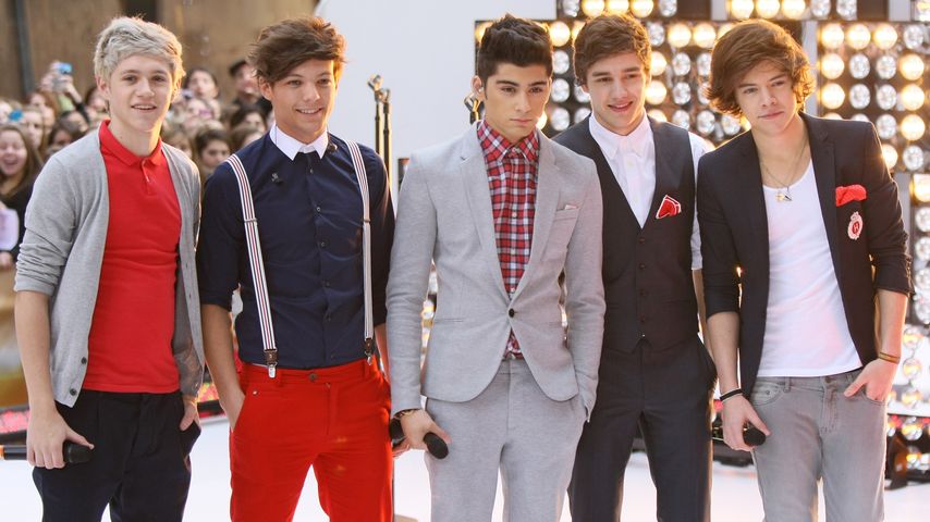 Die One-Direction-Mitglieder Niall Horan, Louis Tomlinson, Zayn Malik, Liam Payne und Harry Styles