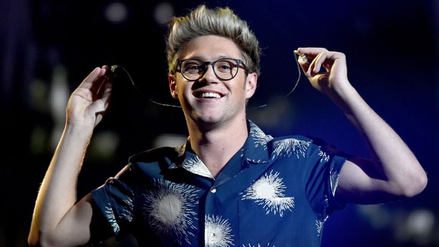 Niall Horan, Sänger