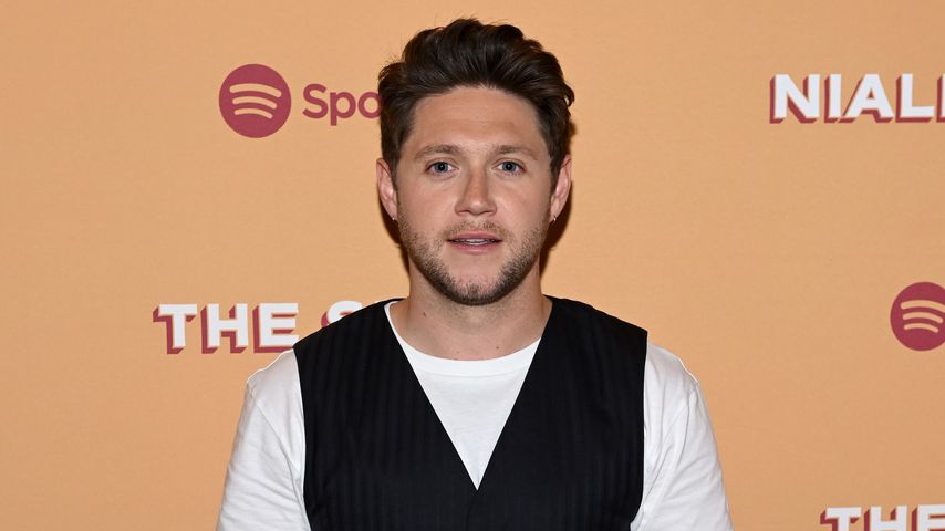 Darauf ist Niall Horan bei seiner Karriere besonders stolz!