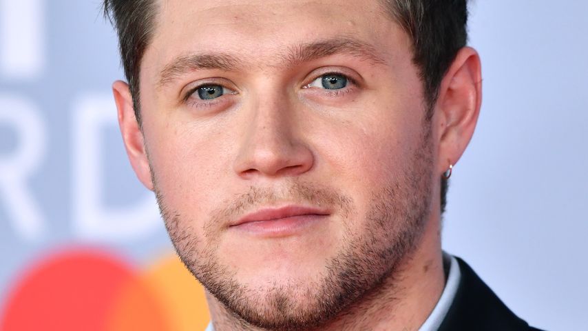 Niall Horan, Musiker