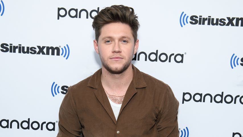 Niall Horan in New York, 2019