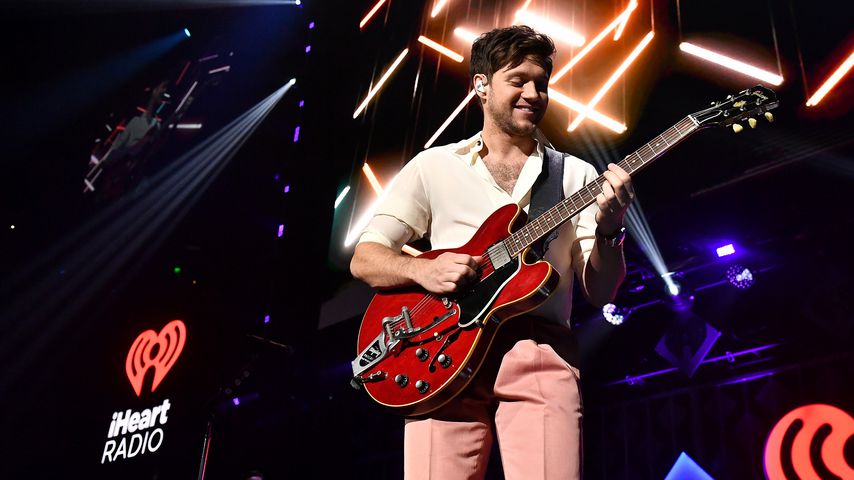 Niall Horan, Musiker