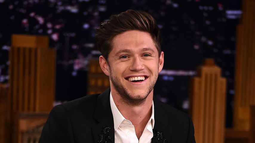 Niall Horan, Sänger