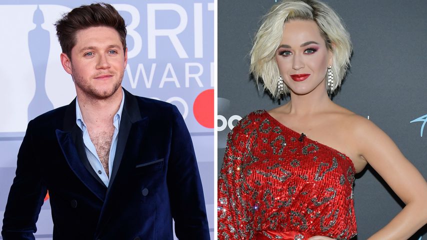 Niall Horan dankbar: Ohne Katy Perry wäre er nicht berühmt!