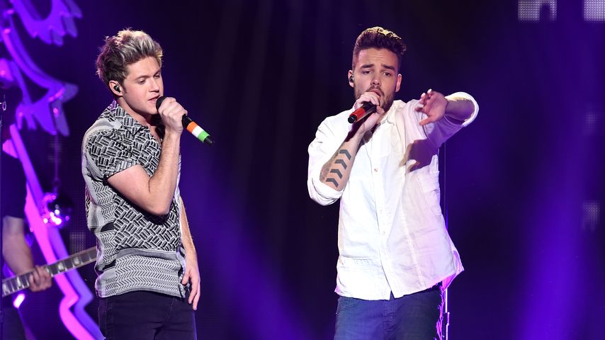 Niall Horan und Liam Payne im Dezember 2015