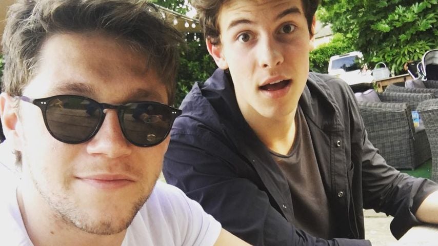 Niall Horan und Shawn Mendes, Musiker
