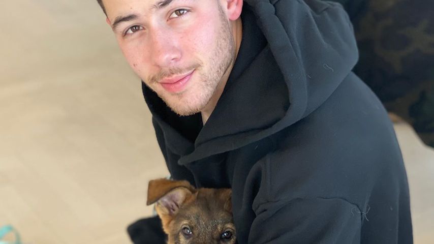 Nick Jonas und Hund Gino