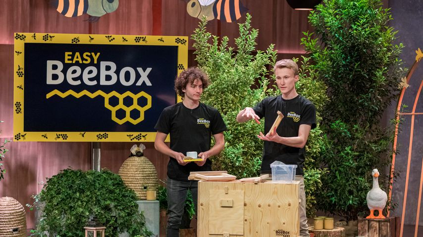 "Höhle der Löwen": Sind easyBeeBox-Gründer happy mit Deal?