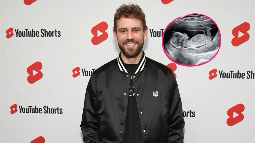 Collage: Nick Viall, TV-Bekanntheit