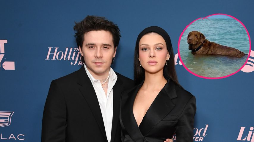 Nicola und Brooklyn Peltz-Beckham trauern um ihren Hund