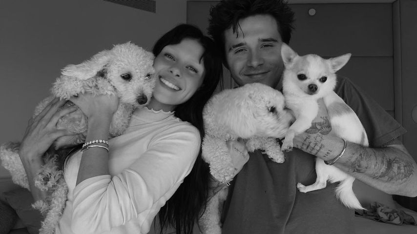 Nicola und Brooklyn Peltz Beckham mit ihren Hunden