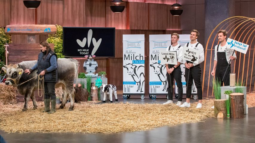 Nicolas Hartmann, Niklas Kattner und Moritz Braunwarth bei "Die Höhle der Löwen"