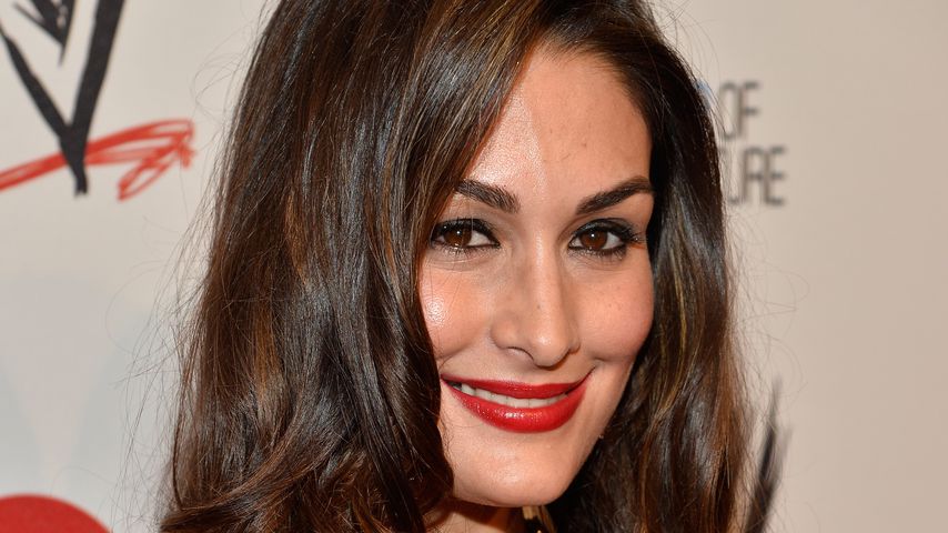 Nikki Bella, Wrestlerin