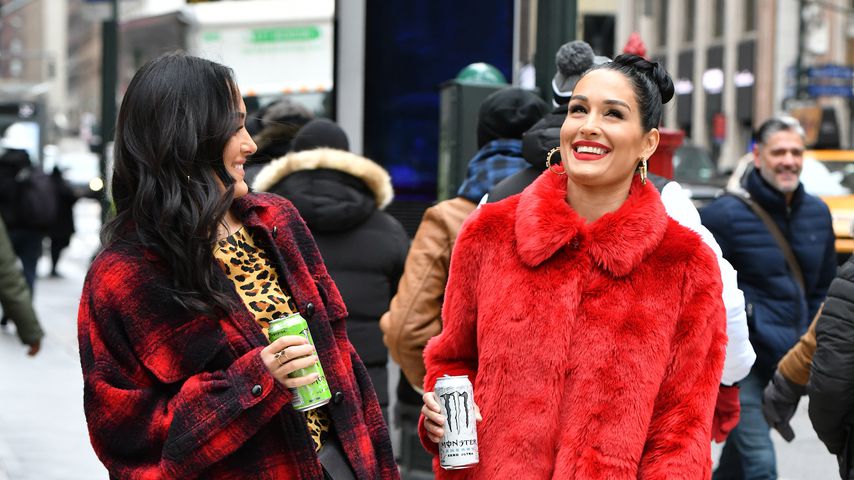Nikki und Brie Bella, Schwestern