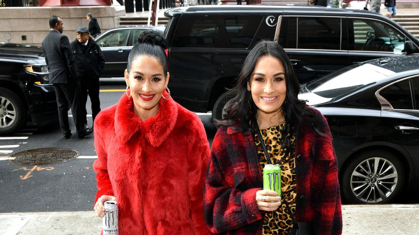 Wrestling-Baby: "Total Divas"-Star Brie Bella ist schwanger!