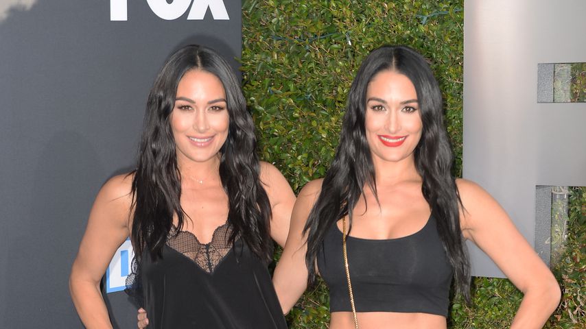 Die Bella-Twins Nikki und Brie