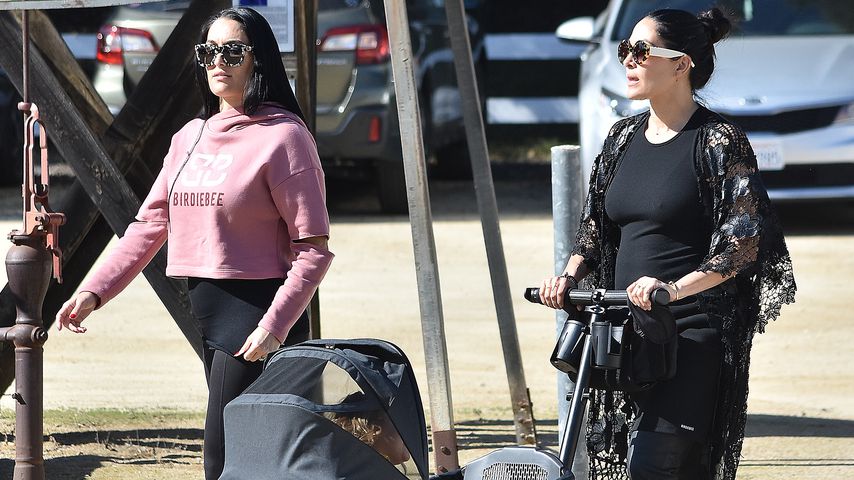 Nikki und Brie Bella im Februar 2020