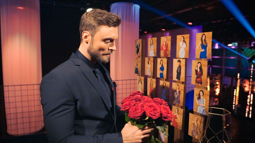 Bachelor Niko Griesert