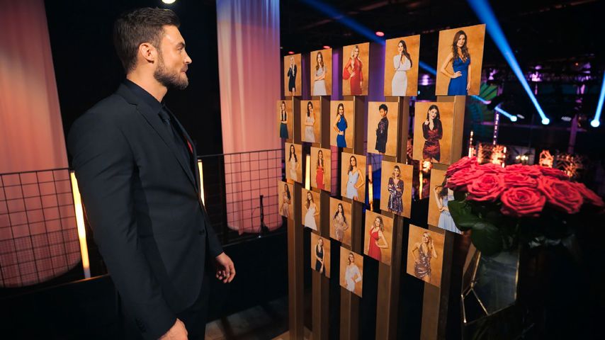 Der Bachelor 2021: Niko Griesert
