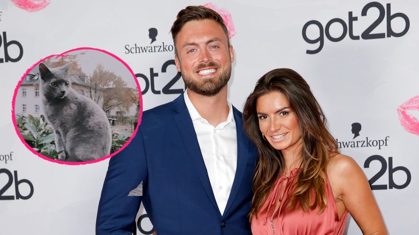 Bachelor Niko und Michèle verzweifelt: Katze Bijou ist weg!