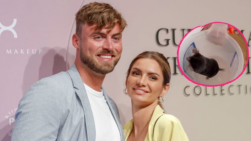 Niko Griesert und Michelè de Roos hatten Maulwurf in Wohnung