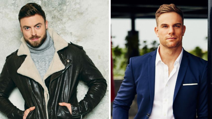 Ist Bachelor Niko ein besserer Influencer als Basti Preuss?