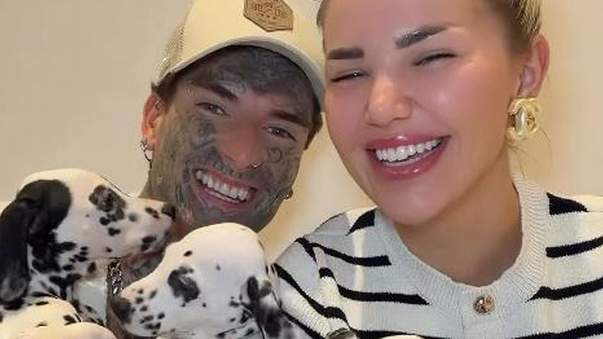 Fans sprachlos: Kim und Nikola Glumac adoptieren drei Hunde