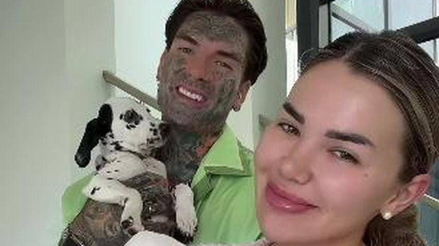 Für ihre Hunde: Nikola und Kim Virginia bauen ein Haus