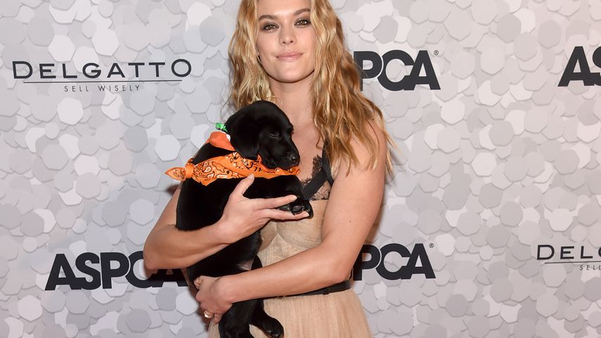 Drollig! Nina Agdal mit süßem Hundewelpen auf Red Carpet
