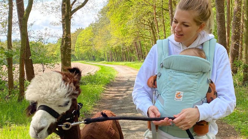 Süßer Anblick: Nina Bott und Baby Lobo wandern mit Alpakas