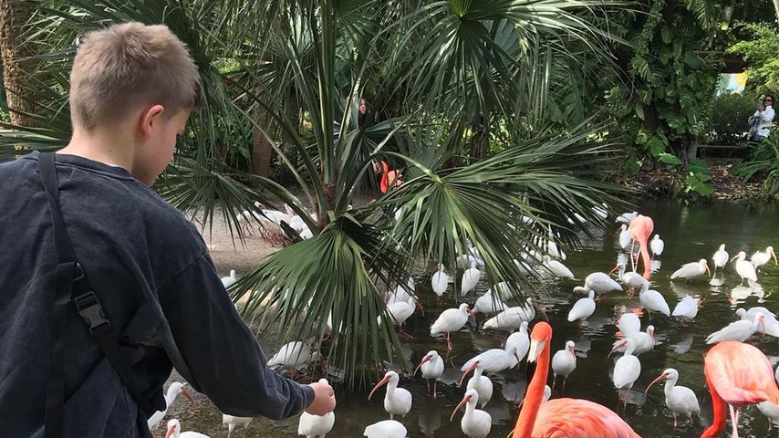 Nina Botts Sohn Lennox im Urlaub, Dezember 2019
