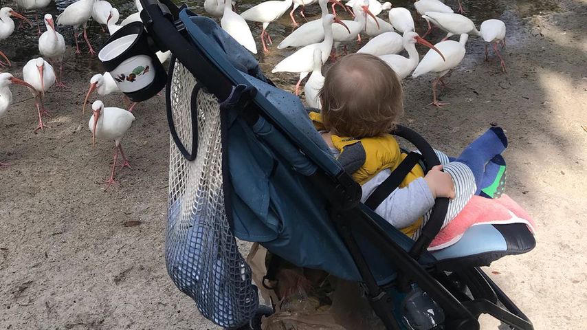 Nina Botts Sohn Lio im Florida-Urlaub 2019