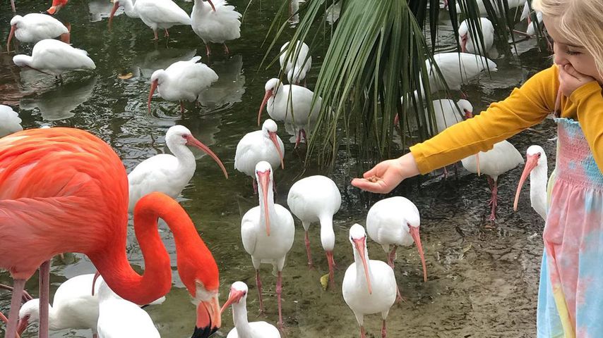 Nina Botts Tochter Luna in Florida