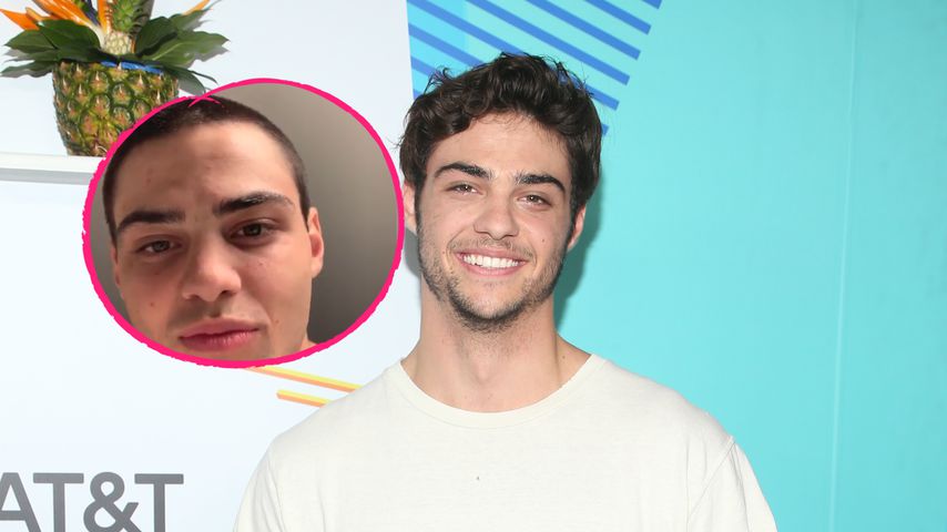 Ciao, Locken: Fans traurig über neue Frisur von Netflix-Noah