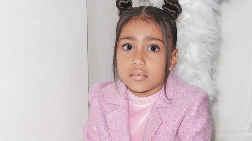 North West, Reality-Star