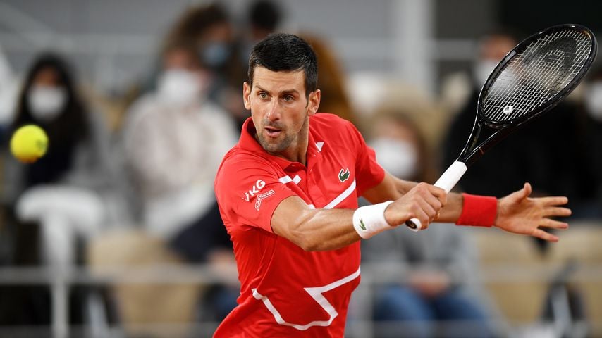 Am Kopf: Novak Djokovic trifft wieder einen Linienrichter