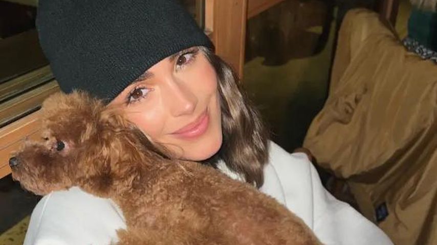 Oliva Culpo, Social-Media-Star