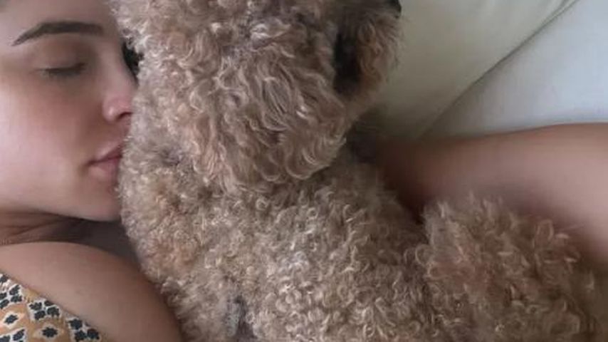 Olivia Culpo, Social-Media-Star