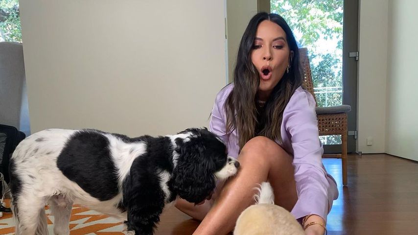 Olivia Munn und ihre Hunde im August 2021